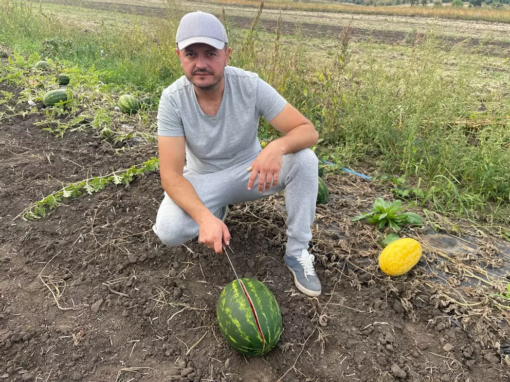 «Наші кавуни не гірші за херсонські» «Наші кавуни не гірші за херсонські»