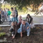 Висаджування тюльпанів