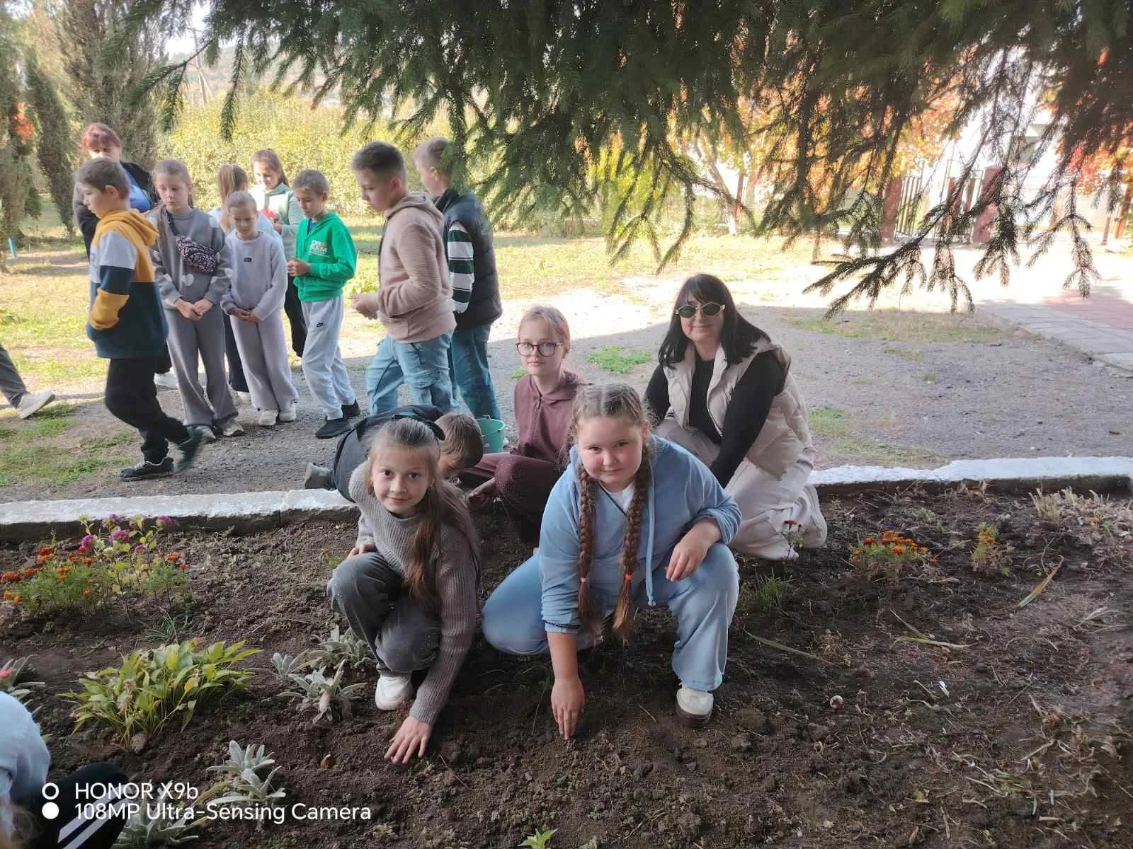 Висаджування тюльпанів