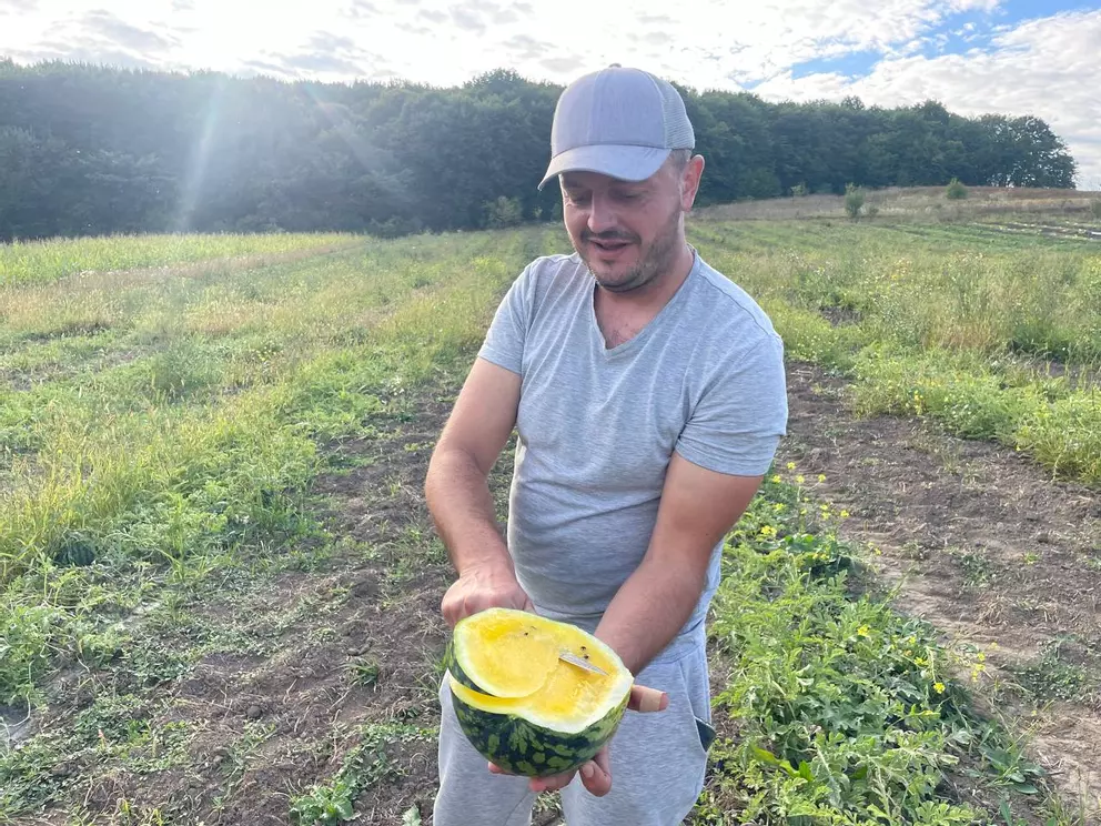 «Наші кавуни не гірші за херсонські» «Наші кавуни не гірші за херсонські»