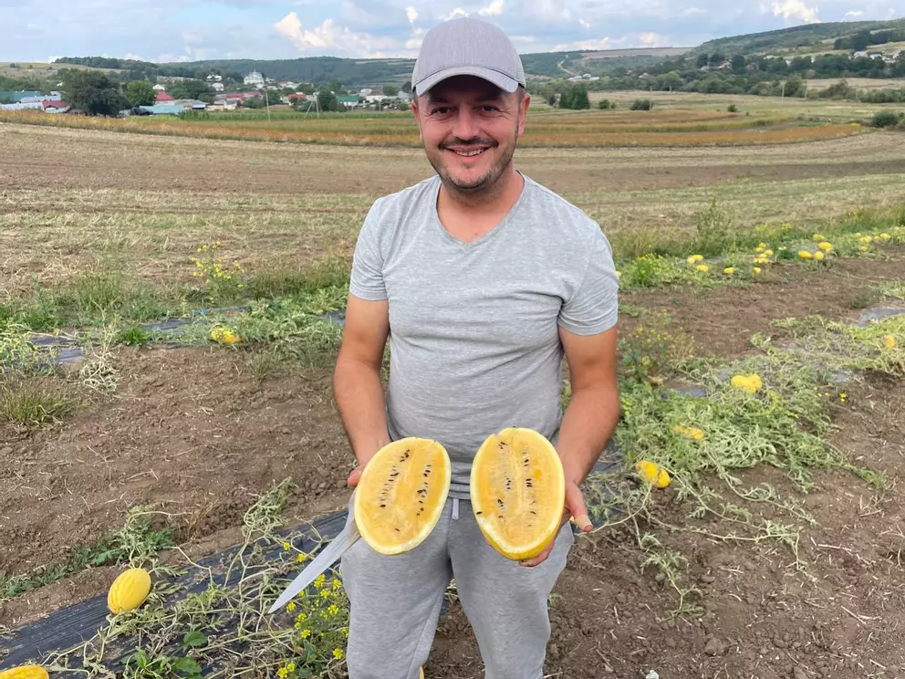 «Наші кавуни не гірші за херсонські» «Наші кавуни не гірші за херсонські»