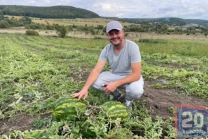 «Наші кавуни не гірші за херсонські»