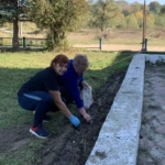 Тюльпанова краса