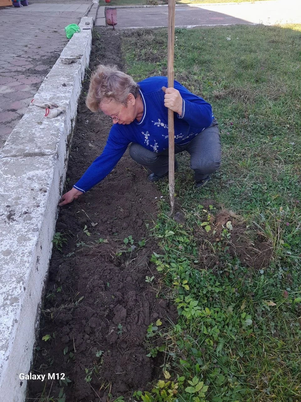 Тюльпанова краса